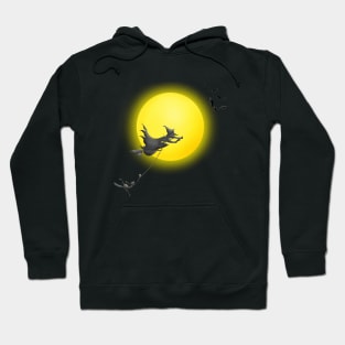 Modern witches fly hoovers Hoodie